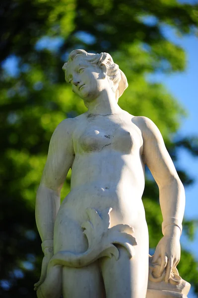 Statue in Peterhof, St.Petersburg — Stock Photo, Image