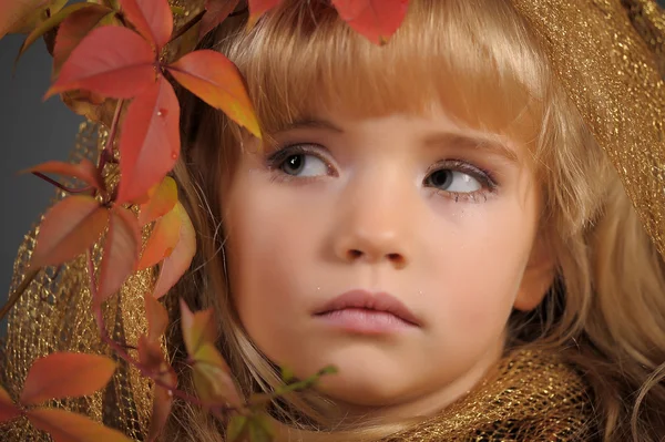 Princesa de otoño —  Fotos de Stock