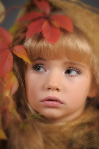 Princesa de otoño —  Fotos de Stock