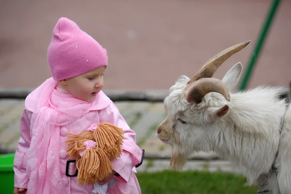 The little girl with a goat — Stock Photo, Image