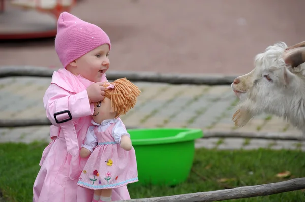 The little girl with a goat — Stock Photo, Image