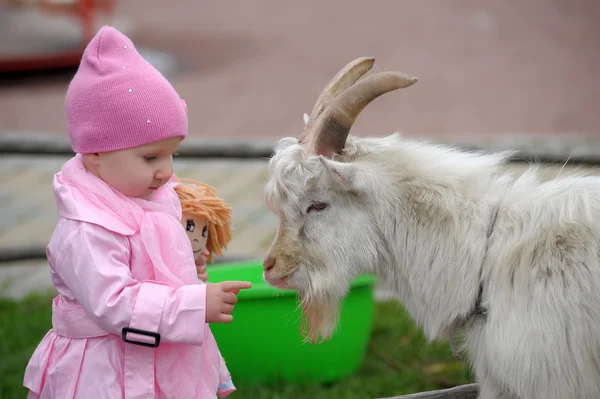 stock image The little girl with a goat