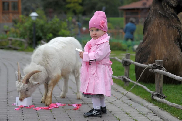 stock image The little girl with a goat