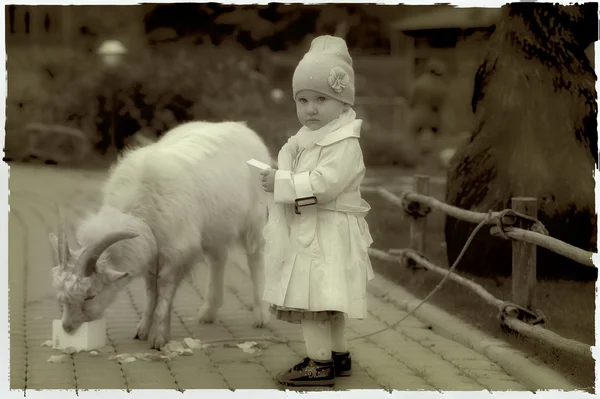 Den lille pige med en ged - Stock-foto