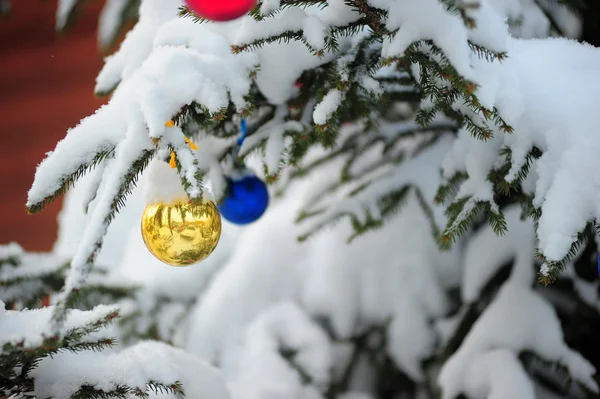 Μπάλα στο χριστουγεννιάτικο δέντρο — Φωτογραφία Αρχείου