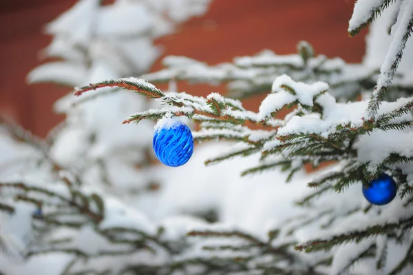 Bola na árvore de Natal — Fotografia de Stock