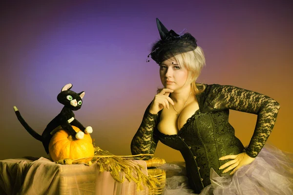 Bruxa com gato e abóbora — Fotografia de Stock