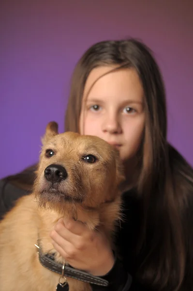 Ragazza adolescente con un cane rosso — Foto Stock