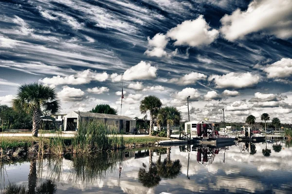 Humor de Everglades —  Fotos de Stock