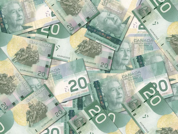 加拿大 20 美元的钞票 — 图库照片