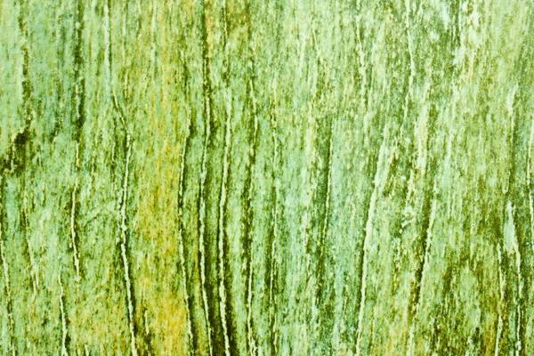 Зеленая текстура дерева — стоковое фото