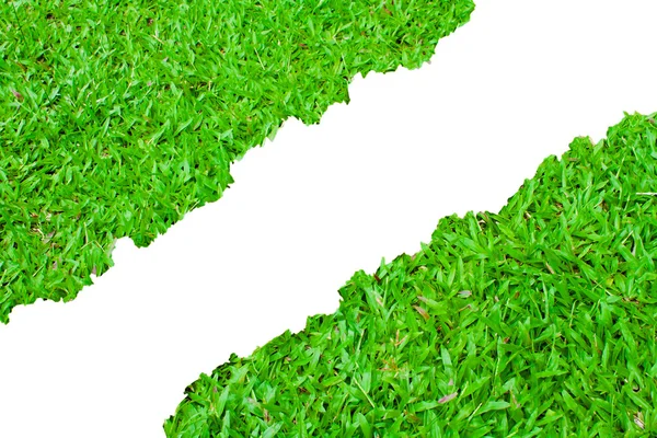 Fresco erba verde primavera su sfondo bianco con spazio copia . — Foto Stock