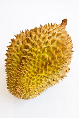 Beyaz arka plan üzerinde izole tek bütün durian