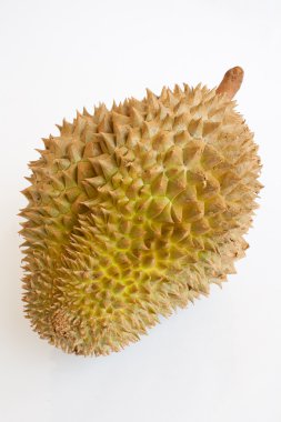 Beyaz arka plan üzerinde izole tek bütün durian