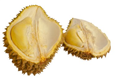 Close up of peeled durian isolated on white background. clipart