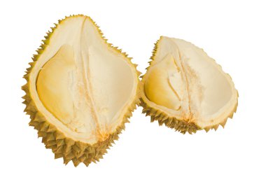 Beyaz arka plan üzerinde izole soyulmuş durian, yakın çekim.