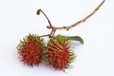 Asian fruit rambutan on the plain background clipart