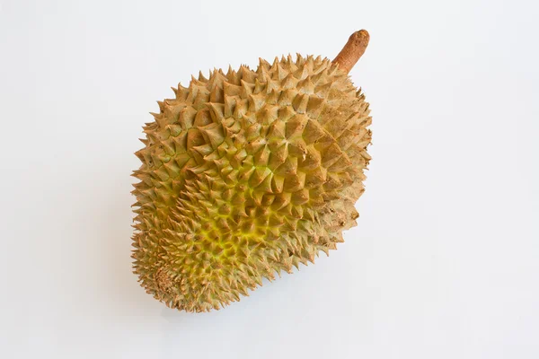 stock image Single whole durian isolated on white background