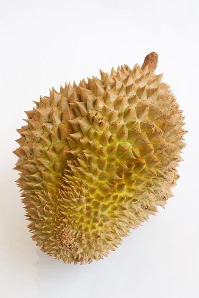Één hele durian geïsoleerd op witte achtergrond — Stockfoto