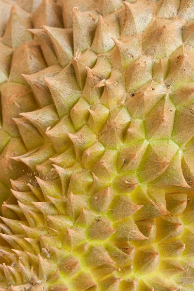 Närbild av durian huden — Stockfoto