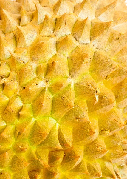 stock image Close up of the durian skin