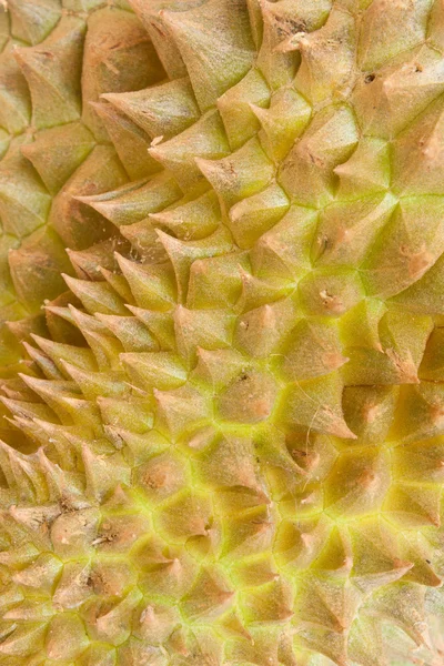 Närbild av durian huden — Stockfoto