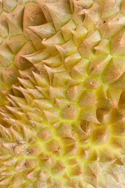 stock image Close up of the durian skin