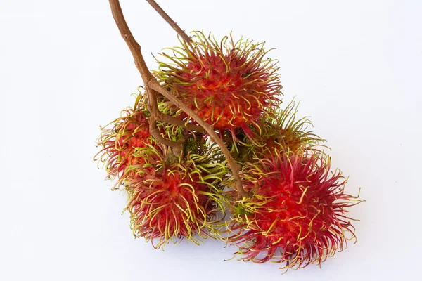 stock image Asian fruit rambutan on the plain background