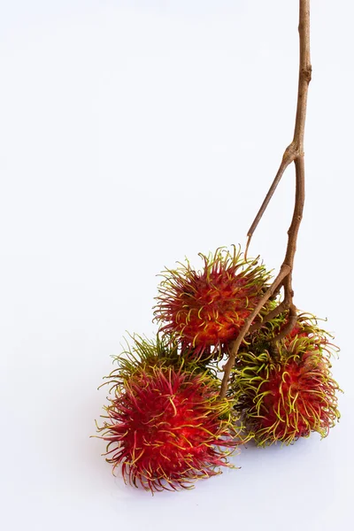 stock image Asian fruit rambutan on the plain background