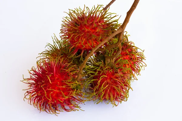 Asiatico frutta rambutan su il pianura fondo — Foto Stock