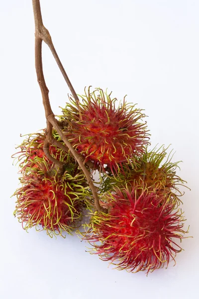 stock image Asian fruit rambutan on the plain background