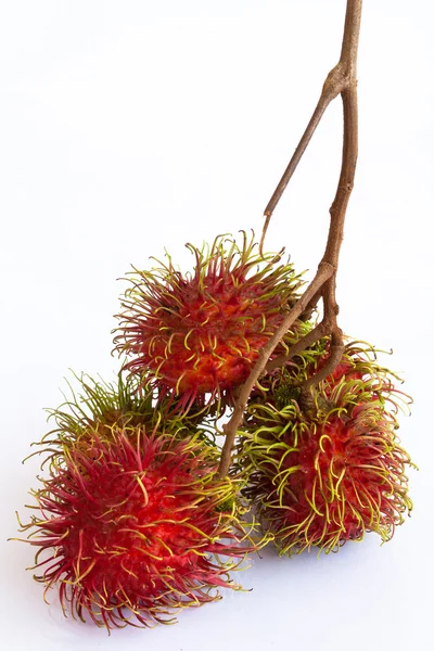 Asiatisk frukt rambutan på slätt bakgrunden — Stockfoto