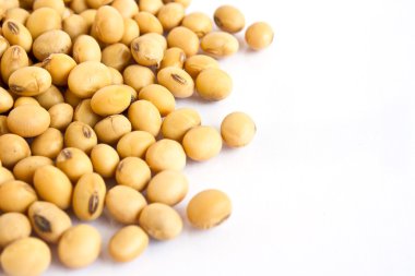 Soy beans on white background clipart