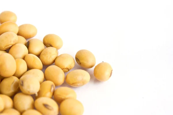 Soy beans on white background — Stock Photo, Image