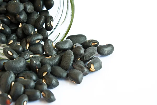 Black beans in a bottle on white background — Stock Photo, Image