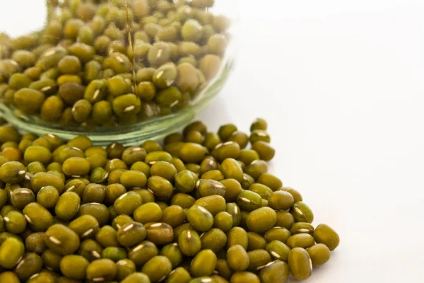 Mung bean in a bottle — Stock Photo, Image