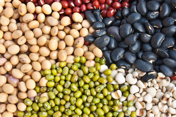 Různé barevné sušené luštěniny fazole jako pozadí — Stock fotografie