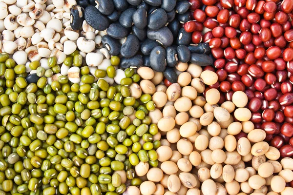 Vários legumes secos coloridos feijão como fundo — Fotografia de Stock