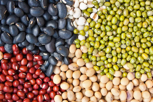 Různé barevné sušené luštěniny fazole jako pozadí — Stock fotografie