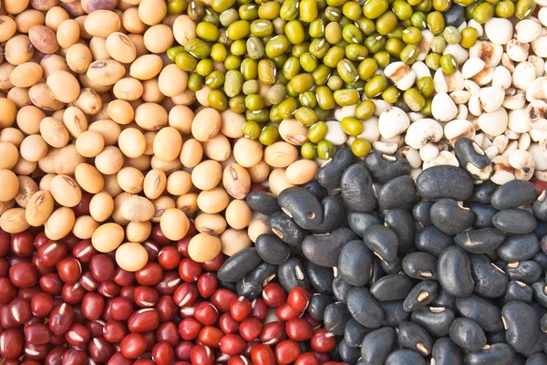 各种多彩干的豆类豆作为背景 — 图库照片