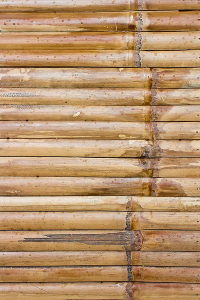 Bambusový plot — Stock fotografie