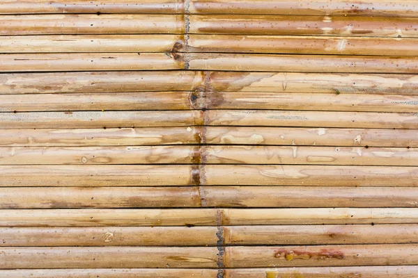 Bambusový plot — Stock fotografie