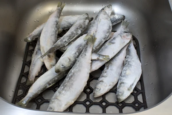 Fresh sardines are at kitchen metal the sink. — Stock Photo, Image