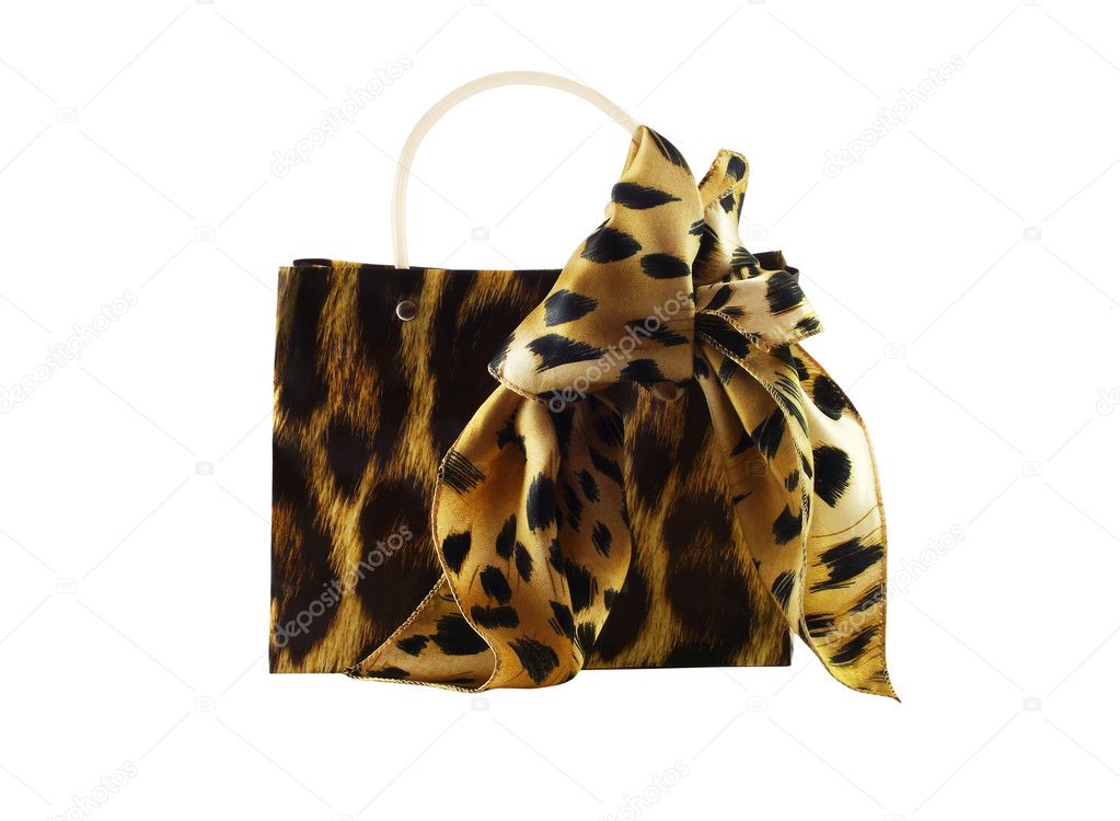 Female handbag and silk scarf