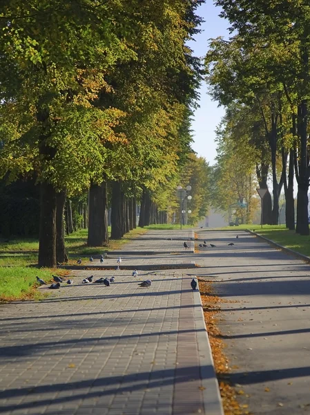Chodnik w mieście jesienny — Zdjęcie stockowe