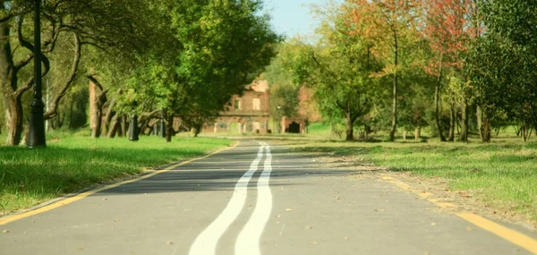 Bicycle road in autumnal park — Stock Photo, Image