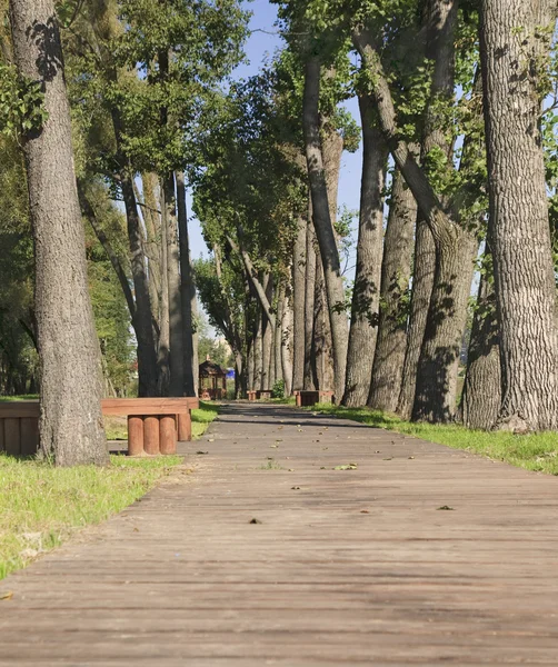 stock image Wooden walkway beetwin trees in the park