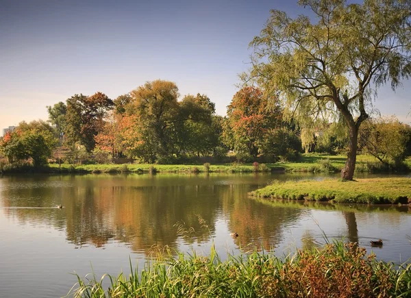 stock image Lake in the autumnal park