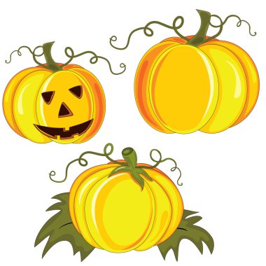 Vector pumpkin isolated on the white background clipart