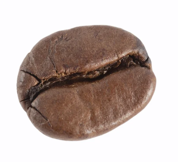 stock image Coffee bean